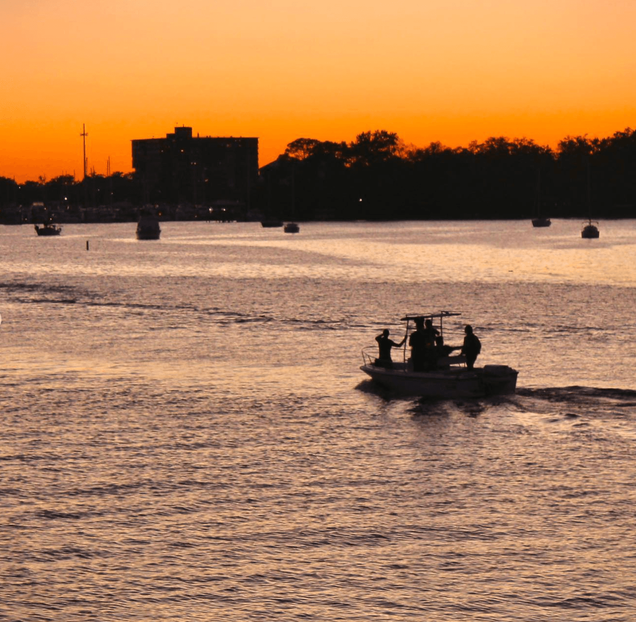 Ortega River at sunset