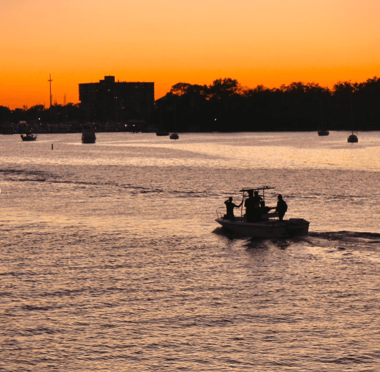 Ortega River at sunset